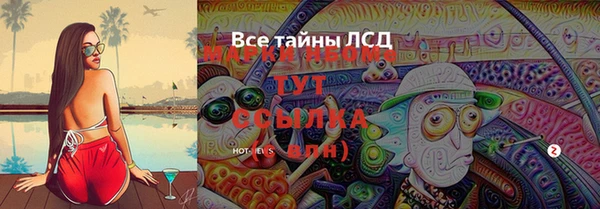 стафф Алексин