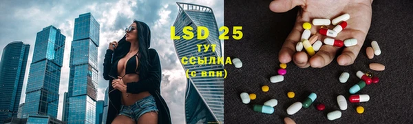индика Алексеевка