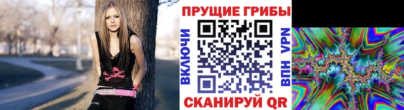цены Каменск-Уральский Псилоцибиновые грибы Cubensis